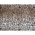 Lão de coelhinho leopardo impresso em Bottom